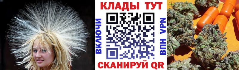 Виды наркоты Коммунар ГАШ A-PVP Псилоцибиновые грибы Канабис Меф
