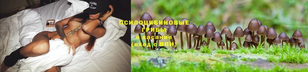 ALPHA PVP Аркадак