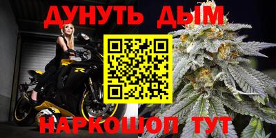 дживик Кингисепп