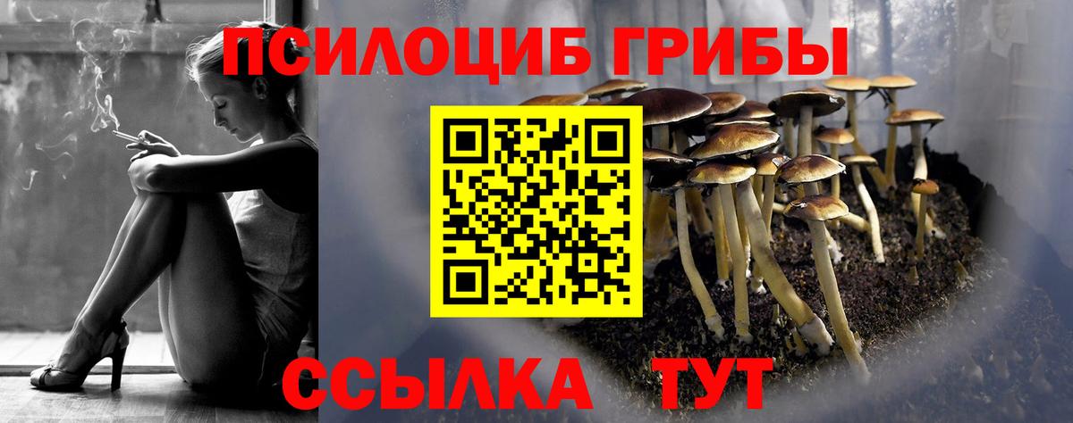 Галлюциногенные грибы Psilocybe  Вход с VPN  закладки  Коммунар 