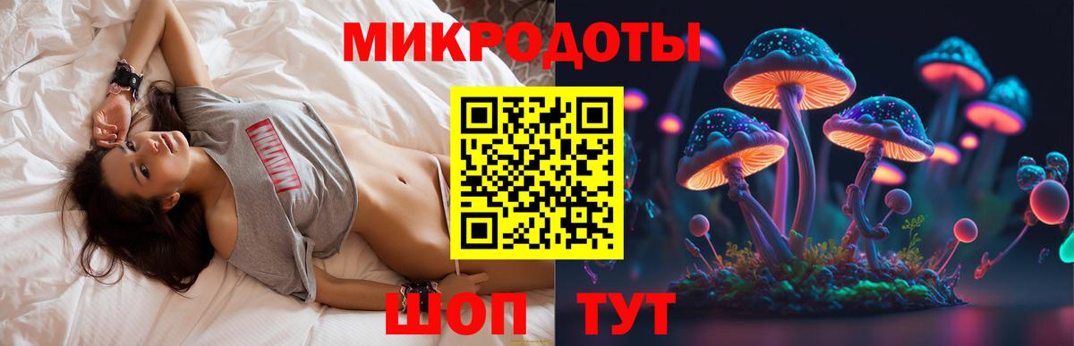 Псилоцибиновые грибы Cubensis Коммунар